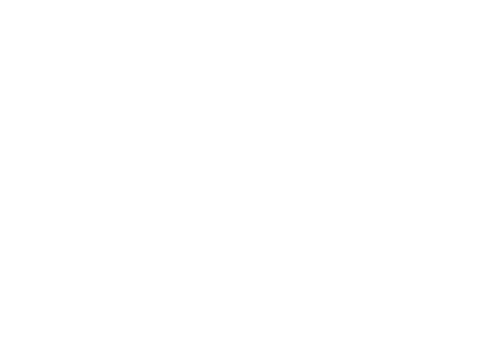 Spotlight Team Logo